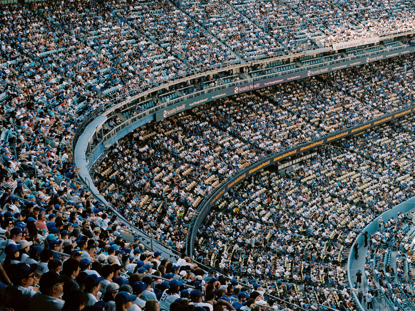 Dodgers Game, 2024